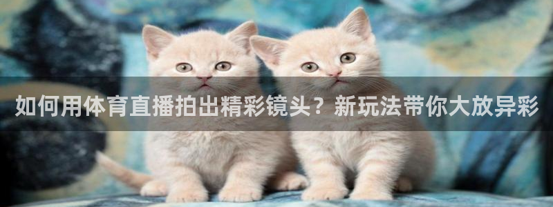 如何用体育直播拍出精彩镜头？新玩法带你大放异彩
