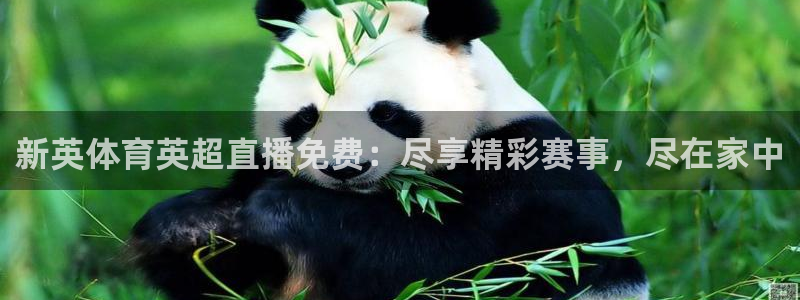 新英体育英超直播免费：尽享精彩赛事，尽在家中