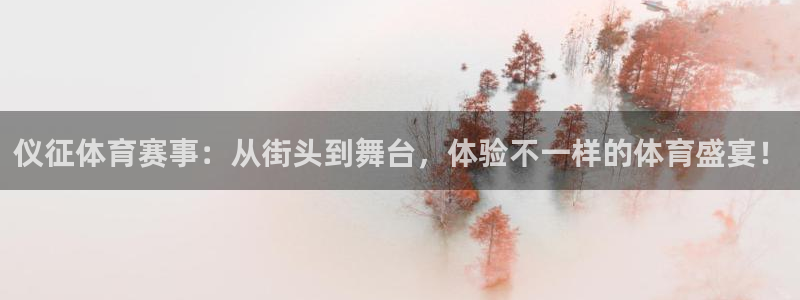 仪征体育赛事：从街头到舞台，体验不一样的体育盛宴！