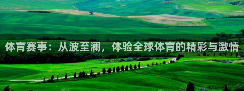 体育赛事：从波至澜，体验全球体育的精彩与激情