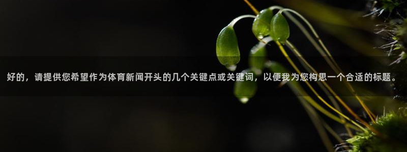 新闻图片