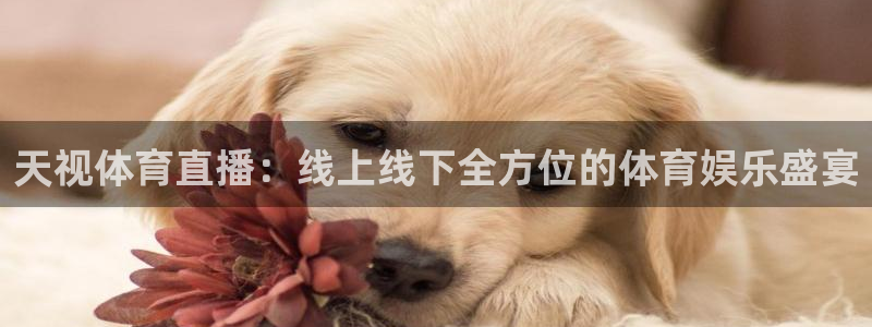 天视体育直播：线上线下全方位的体育娱乐盛宴