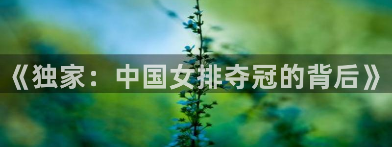 新闻图片