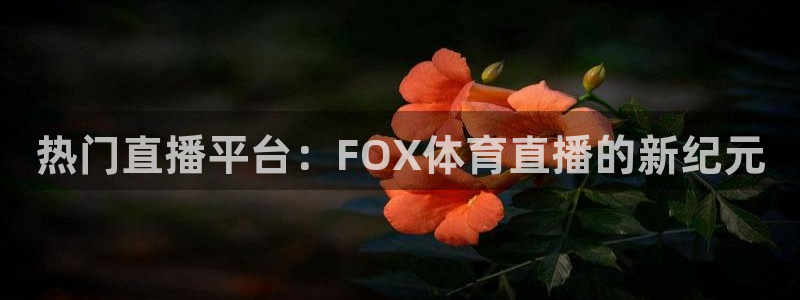热门直播平台：FOX体育直播的新纪元